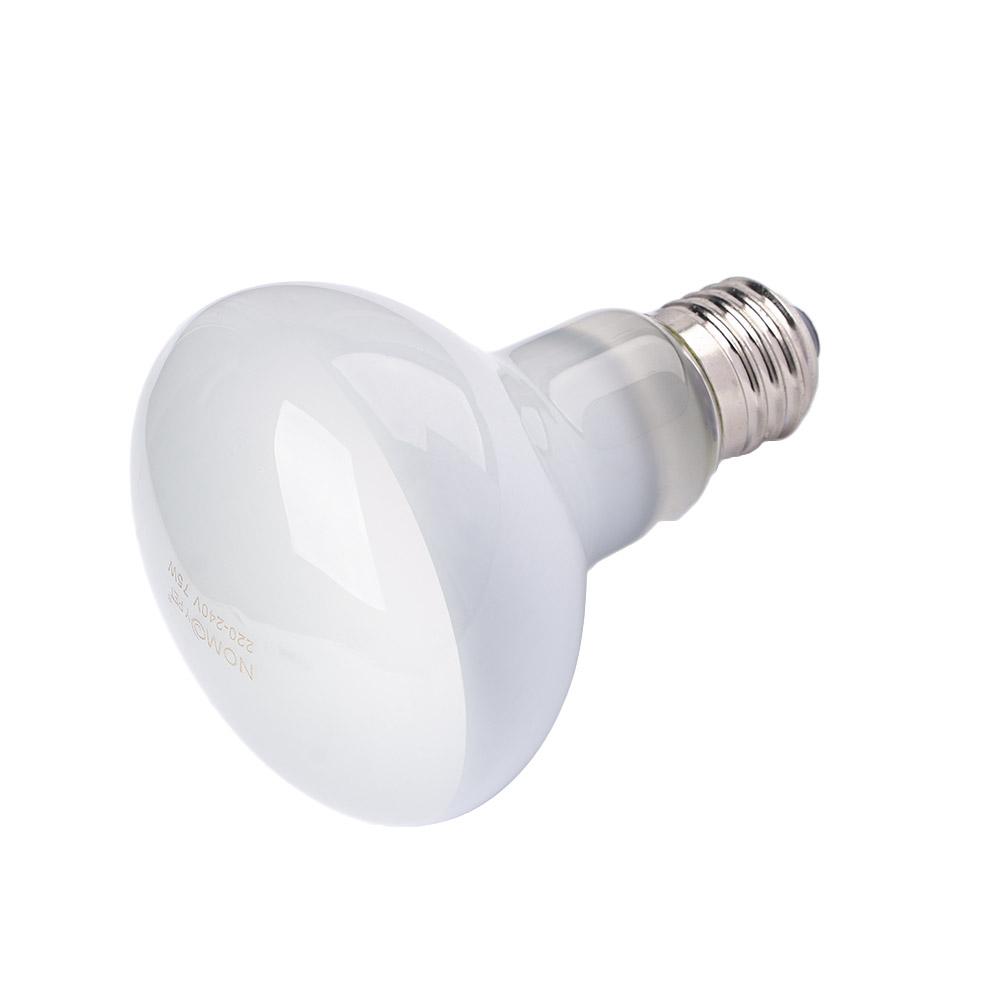 Basking Bulb Halogen - リザードヒーター温度コントローラー ハロゲン電球 UVAライト バスキングライト 爬虫類用ライト