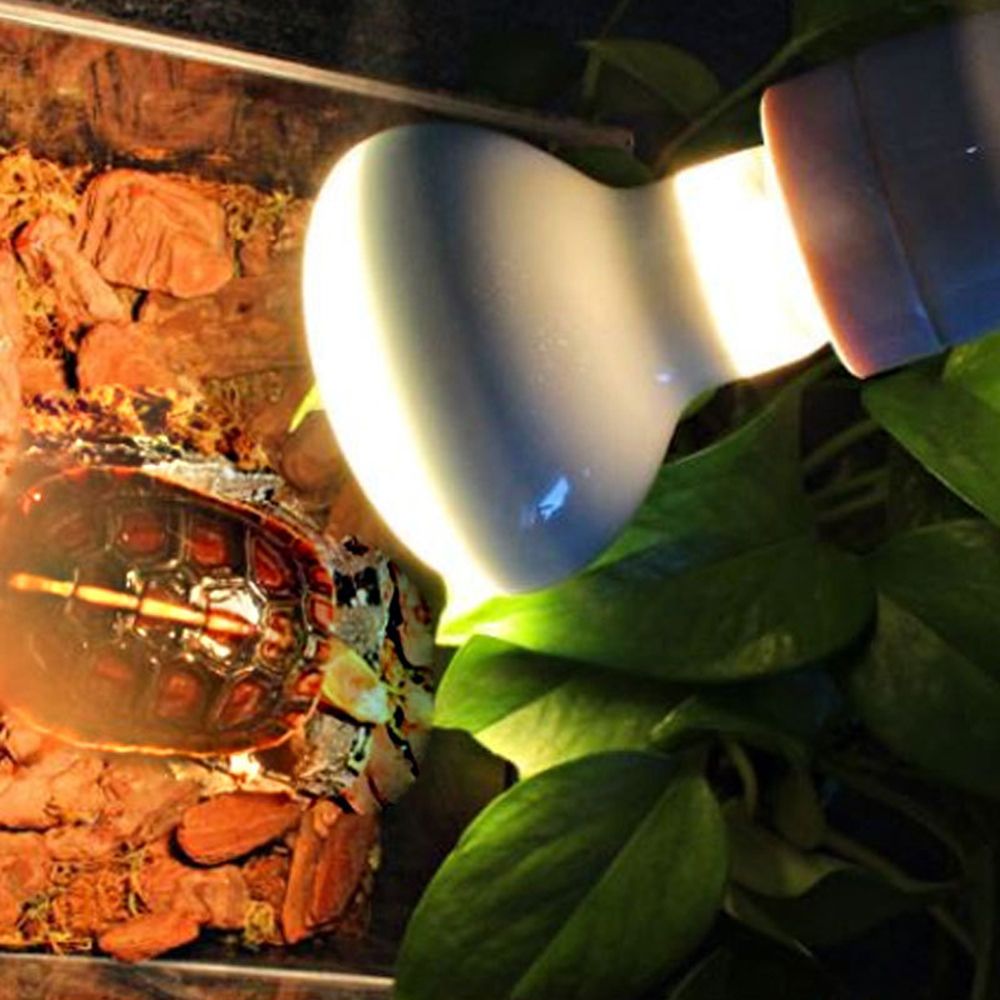 Basking Bulb Halogen - リザードヒーター温度調節器 バスキングライト ハロゲン電球 UVAライト 爬虫類用