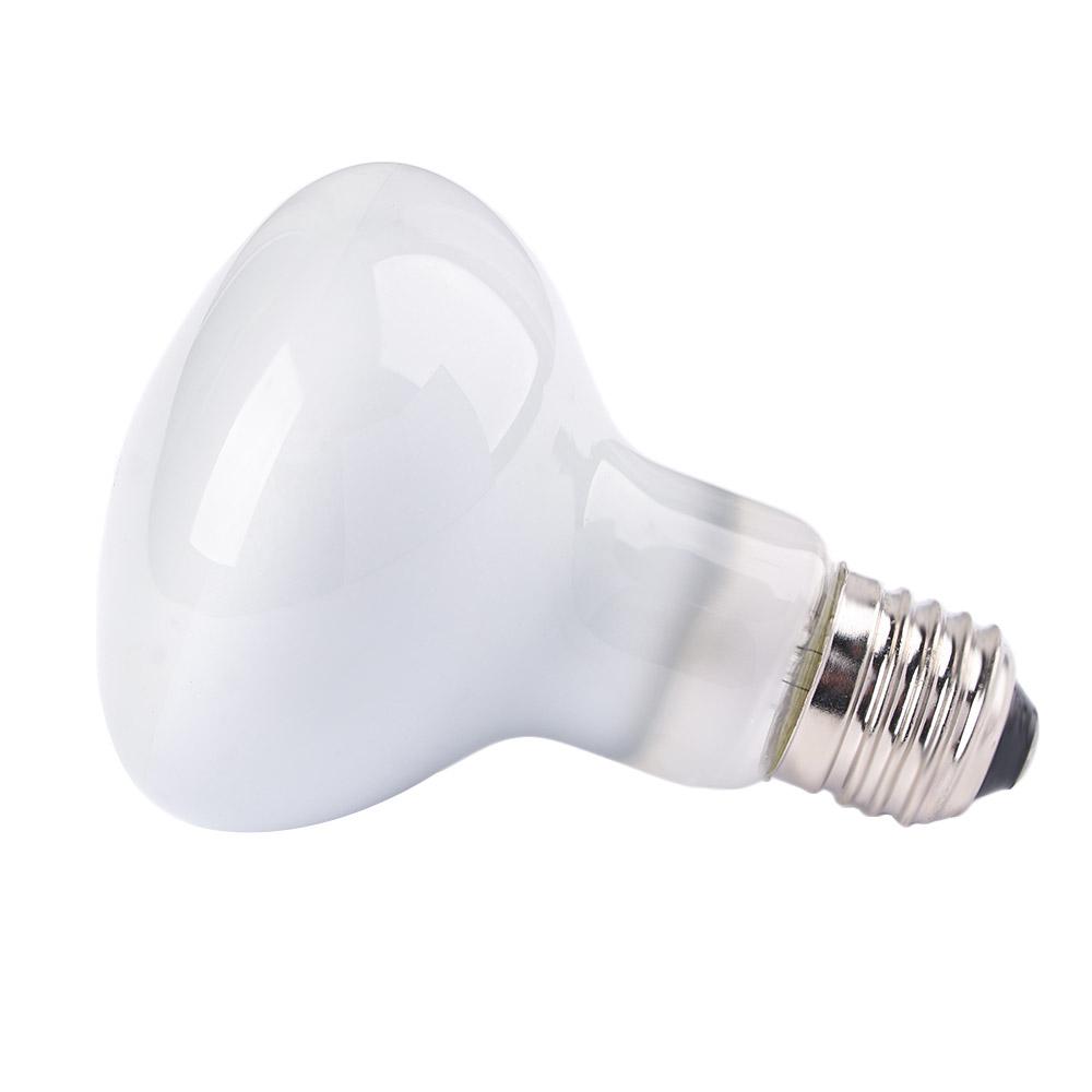 Basking Bulb Halogen - トカゲ用温度調節器 ヒートランプ ハロゲン電球 日光浴ライト UVAライト 爬虫類用