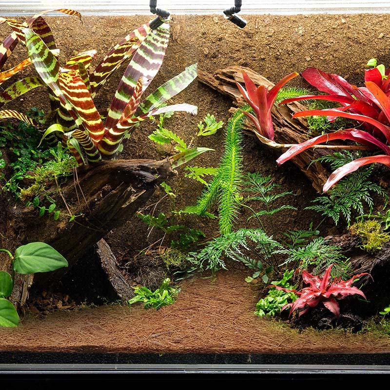 Substrate Coconut Fiber - AB33-天然ココナッツ繊維マット、爬虫類用カーペット、トカゲ、ヘビ、カメ、イグアナ、ヤモリ用のペットテラリウム底材