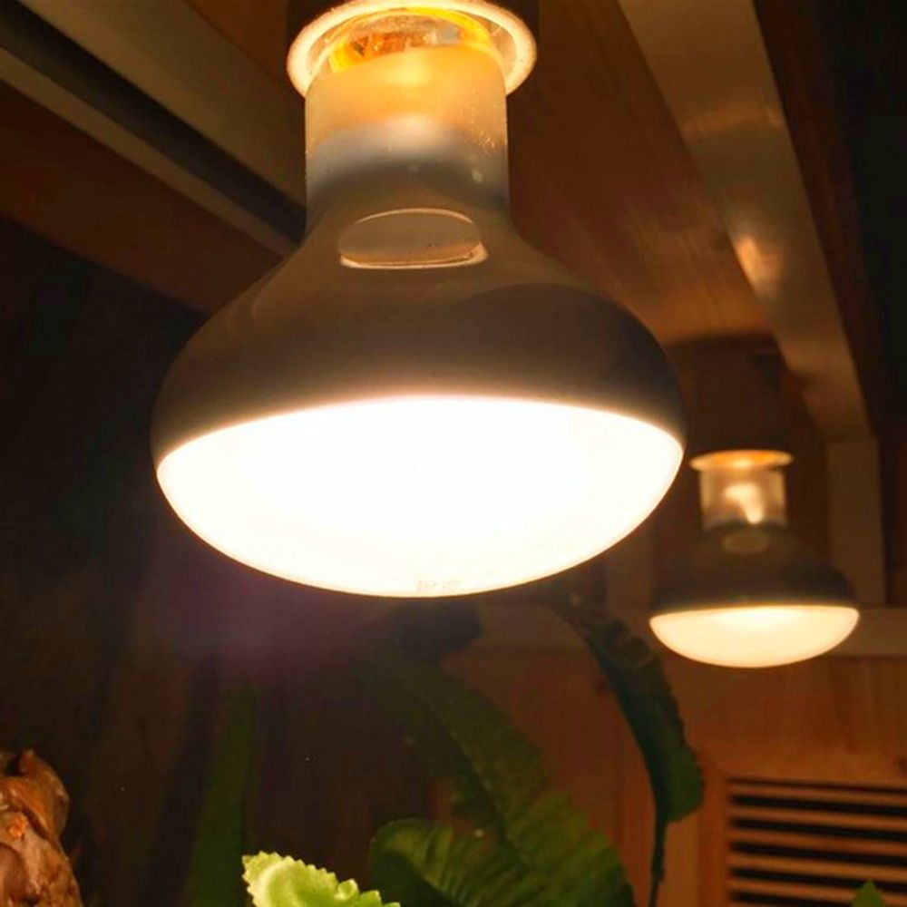 Basking Bulb Halogen - カメ用温度調節器 ヒートランプ 日光浴ライト ハロゲン電球 爬虫類用UVAライト