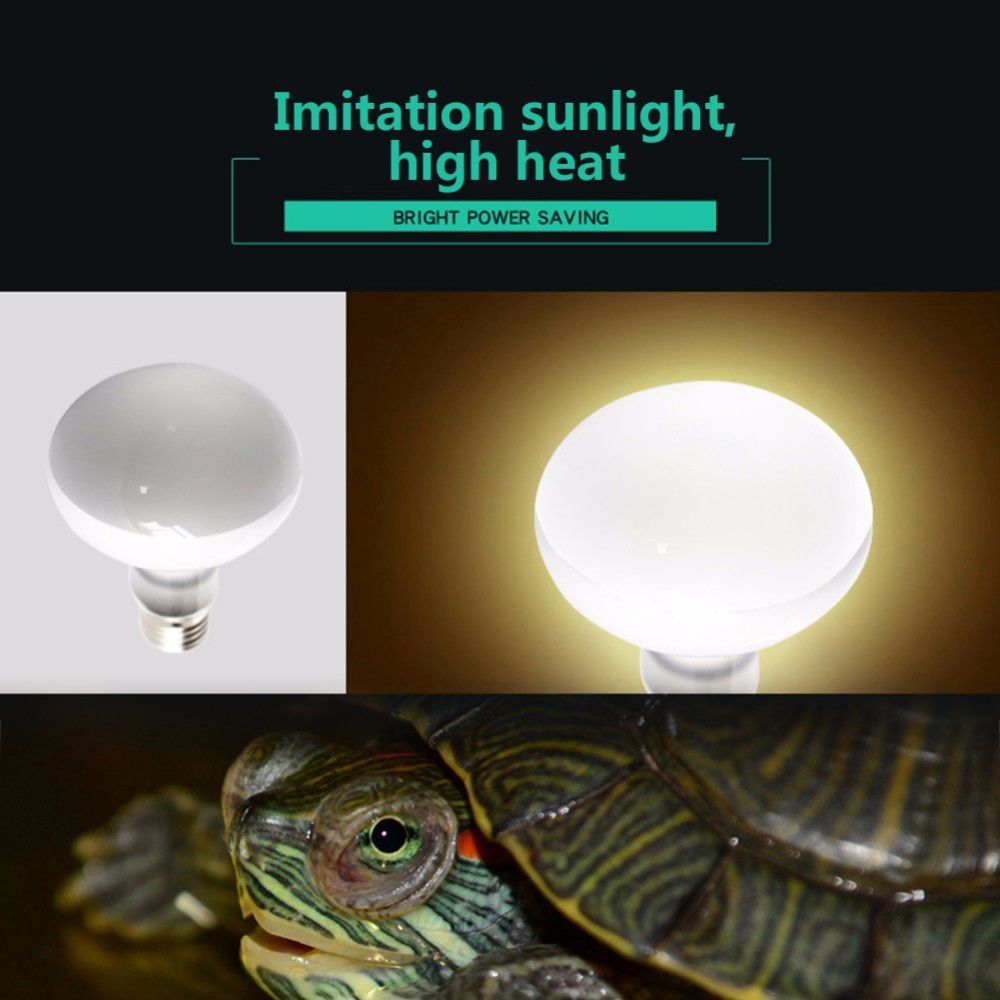 Basking Bulb Halogen - カメ用ヒーター温度調節器 爬虫類用UVAライト ハロゲン電球 日光浴ライト