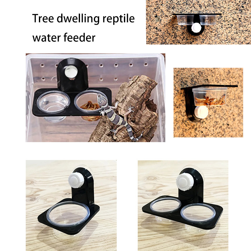Water Dish Reptile - ペット用の爬虫類タンクアクセサリー,餌と給水ボウル,昆虫,クモ,アリ,巣,ヘビ,ヤモリ,ペットボックス用のテラリウム