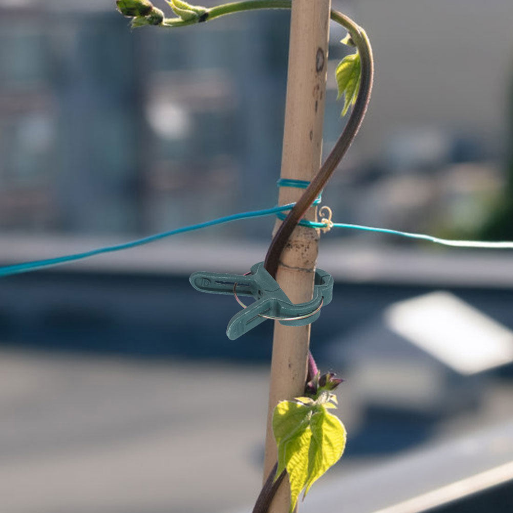 Vine Climbing Plastic - 植物用ガーデンクリップ50個、プラスチック製トレリスPEフラワーサポート、つる性植物用クランプ