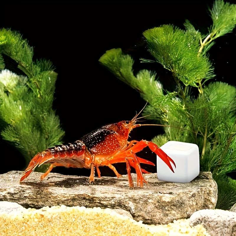 Calcium Powder Reptile - 6個入り 魚タンク用カルシウムブロックミネラル 水槽用品 爬虫類研磨用クロールキューブ 亀用石 カタツムリ用タンクカルシウム