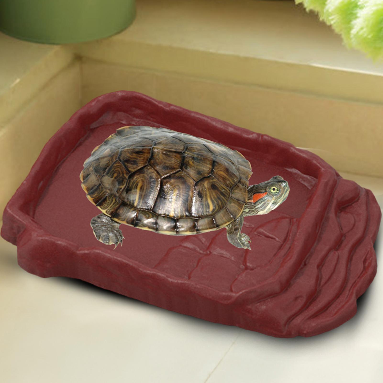 Water Dish Reptile - カメ用浴槽 水皿 滑り止め付きはしご 爬虫類用ボウル 爬虫類用入浴プール 水槽飾り