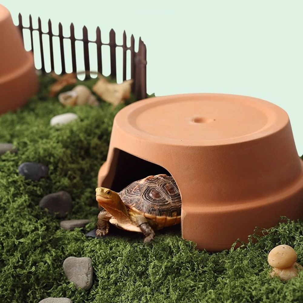 多機能セラミック製爬虫類隠れ家ボックス、装飾的なカメの隠れ家 - Hide Cave Ceramic のレビューと価格