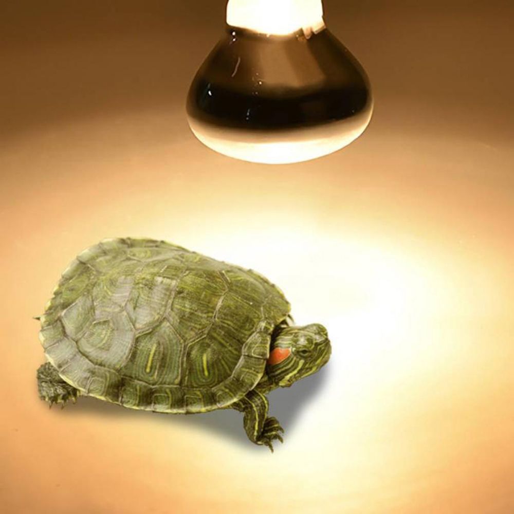 リザードヒーターヒートランプUVAライト爬虫類ハロゲン電球日 - Basking Bulb Halogen のレビューと価格