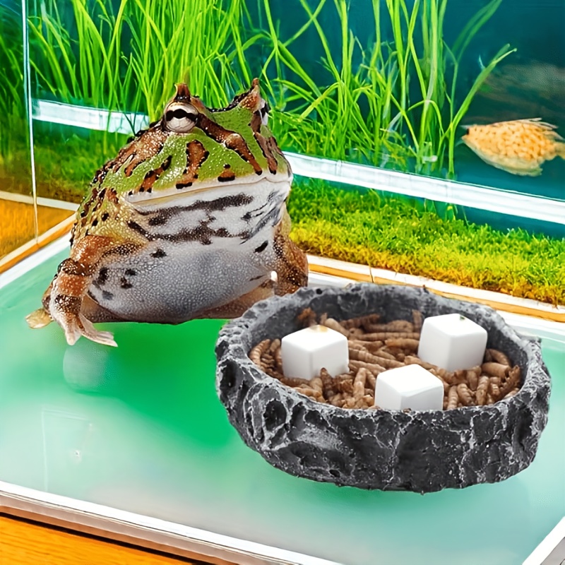 爬虫類用研磨石6個セット、カメ用カルシウム、カタツムリ用カル - Calcium Powder Reptile のレビューと価格