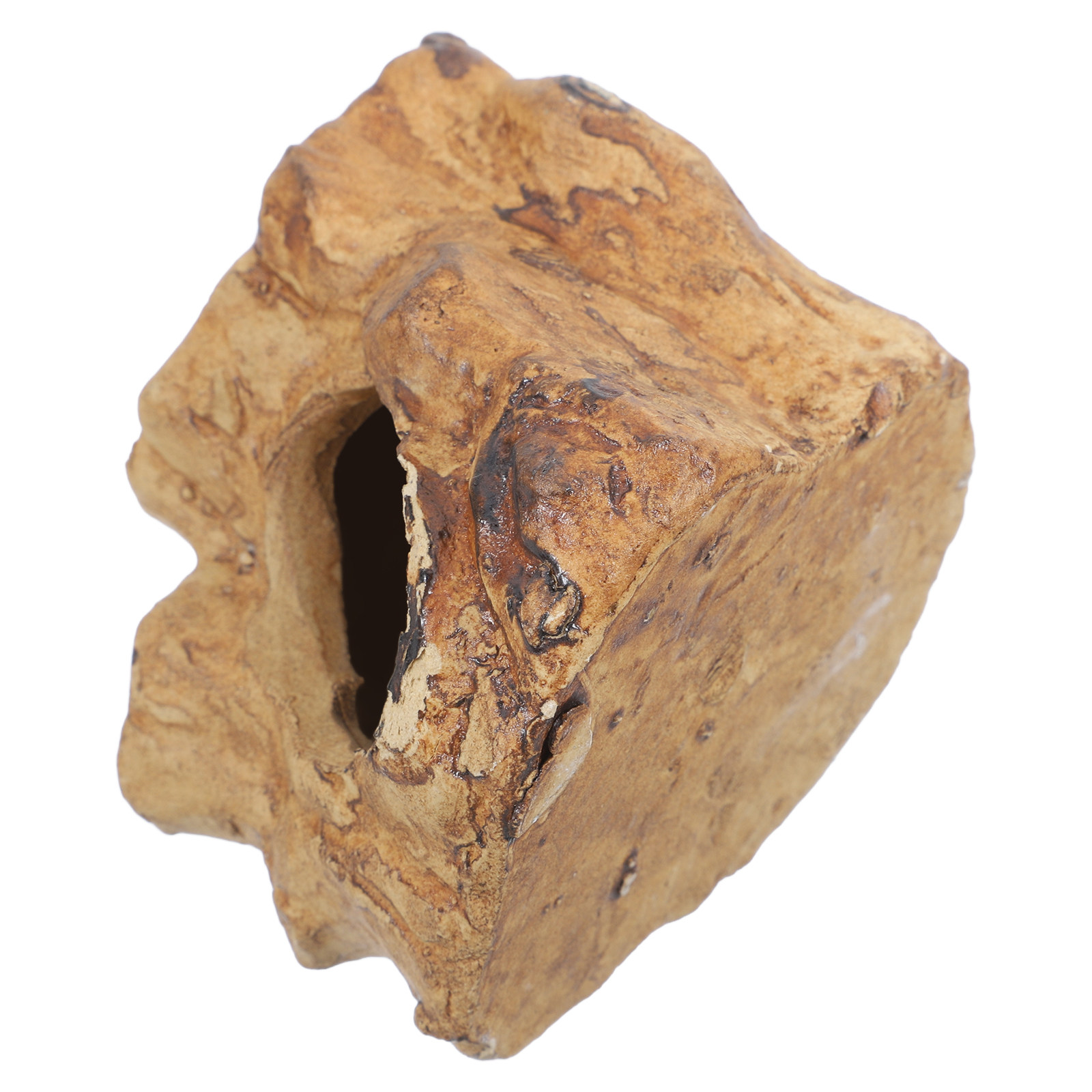 プレミアムセラミック製水槽用洞窟、魚タンク装飾、エビの隠れ家 - Hide Cave Ceramic のレビューと価格