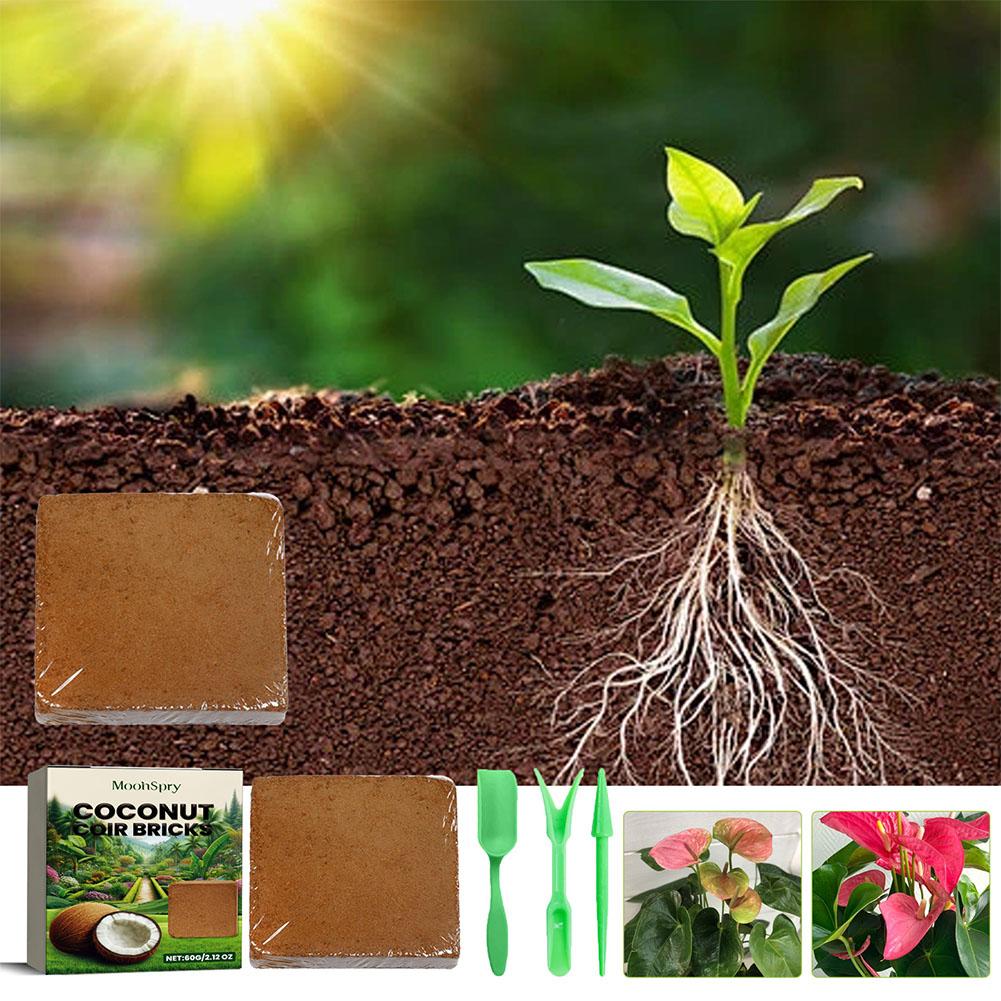 爬虫類テラリウム土壌,ココナッツ繊維,トカゲ,カメ,底材 - Substrate Coconut Fiber のレビューと価格