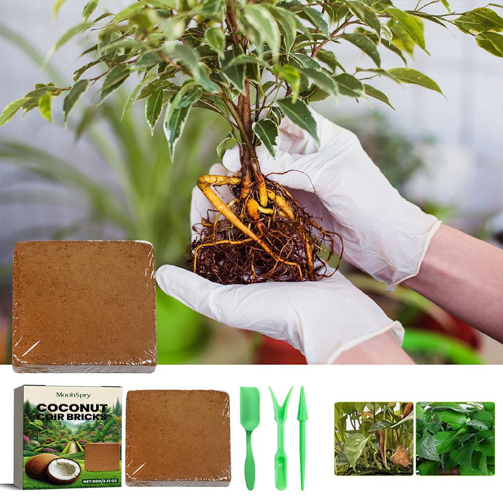 爬虫類テラリウム土壌,ココナッツ繊維,トカゲ,カメ,底材 - Substrate Coconut Fiber のレビューと価格