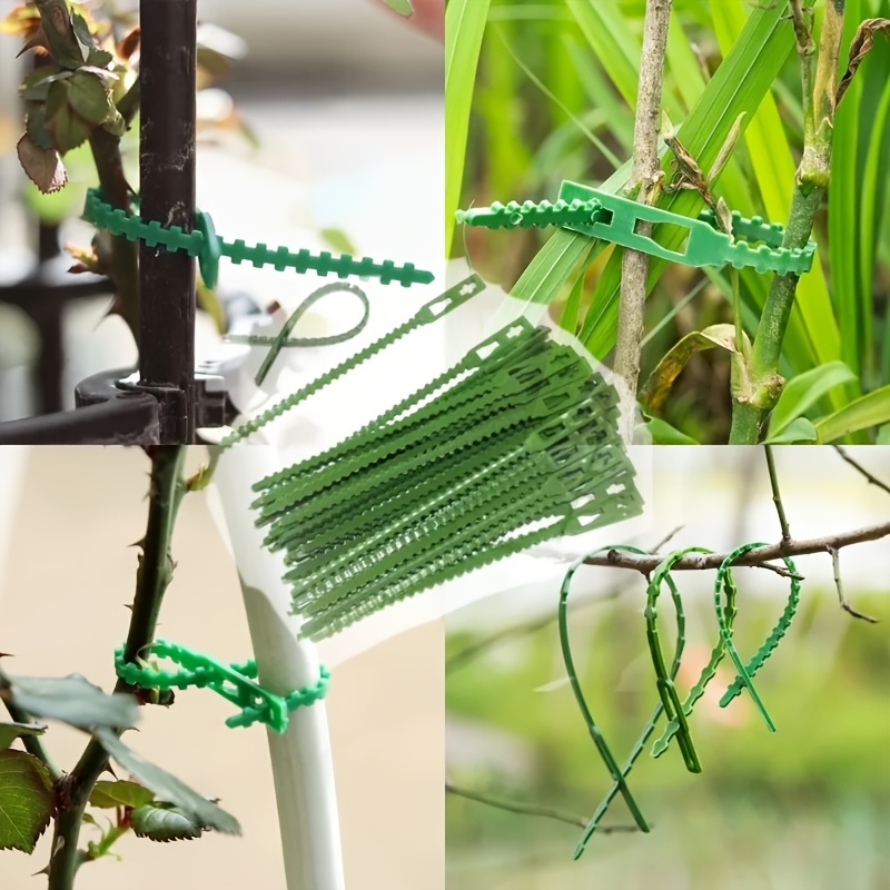 100個入り 再利用可能な調整可能な植物結束バンド、つる性植 - Vine Climbing Plastic のレビューと価格