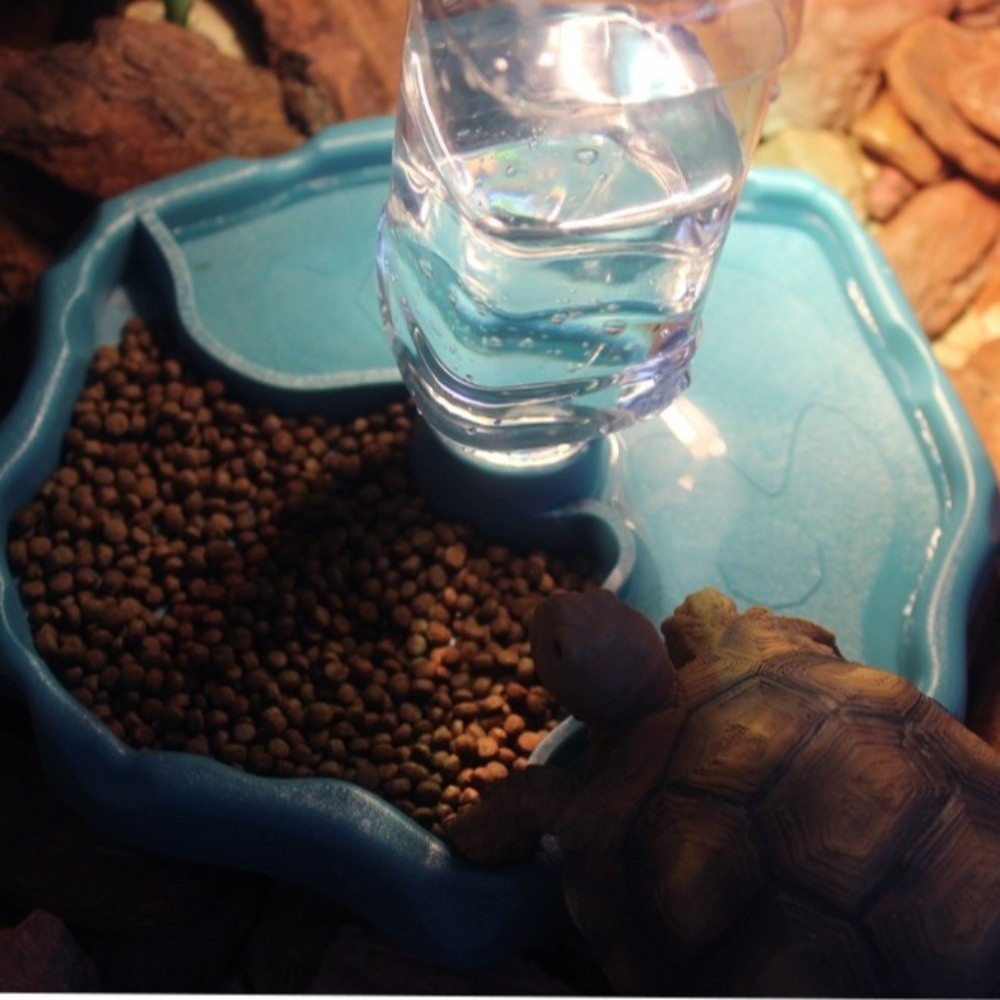 新しい取り外し可能な爬虫類用フィーダー、お手入れ簡単、大容量 - Water Dish Reptile のレビューと価格