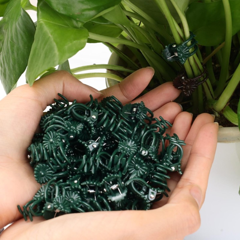 卸売ミニ植物サポートクリップ、庭の花、蘭、つる性植物用固定ク - Vine Climbing Plastic のレビューと価格