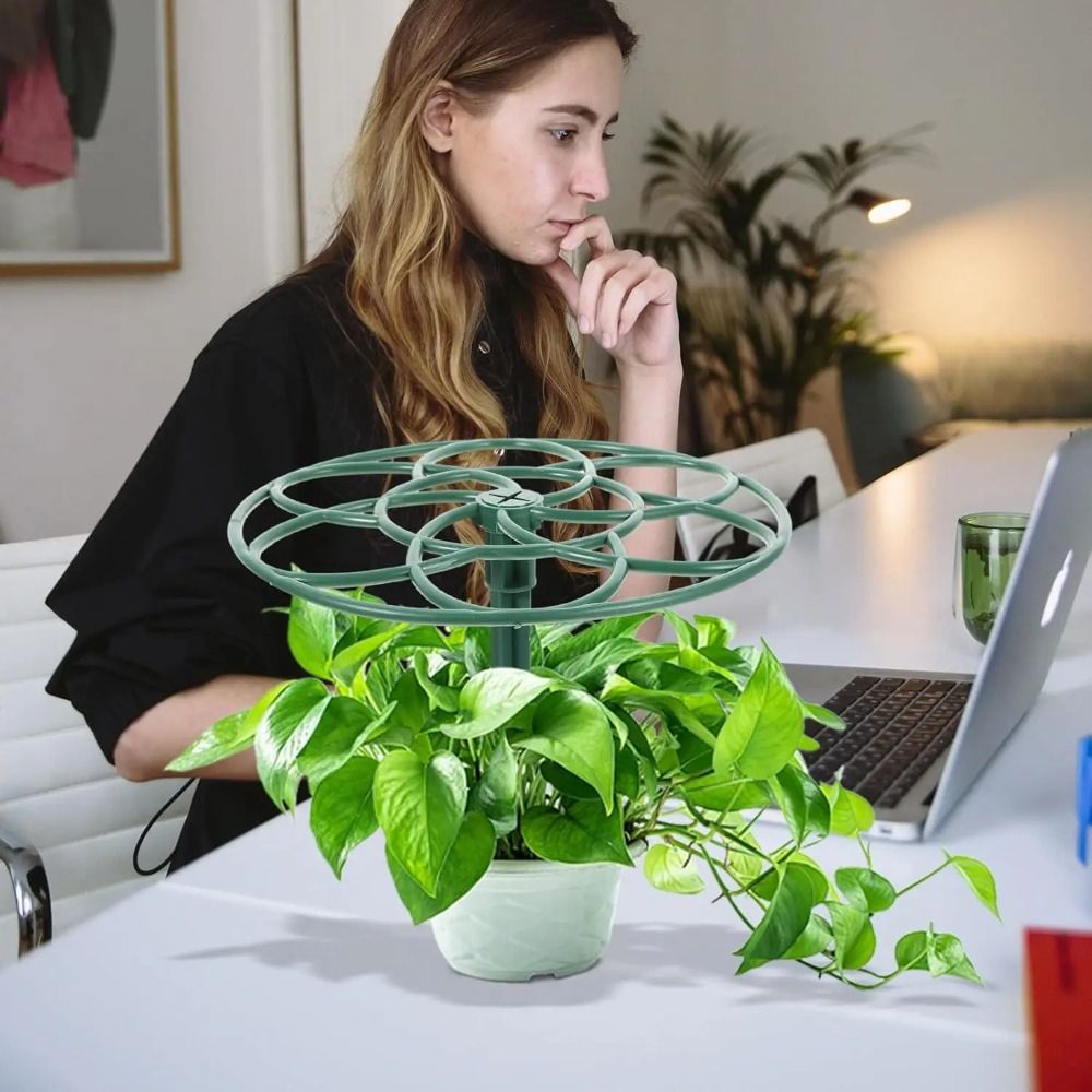 耐久性のあるS/M/Lサイズ盆栽用クライミングフレーム、積み - Vine Climbing Plastic のレビューと価格