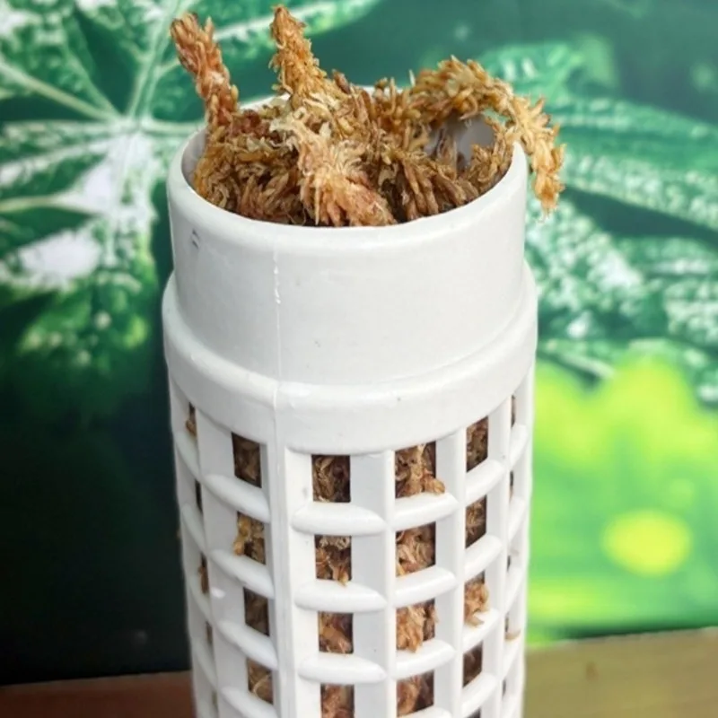 2026-9PCS 簡単組み立てプラスチック製モス支柱 頑丈 - Vine Climbing Plastic のレビューと価格