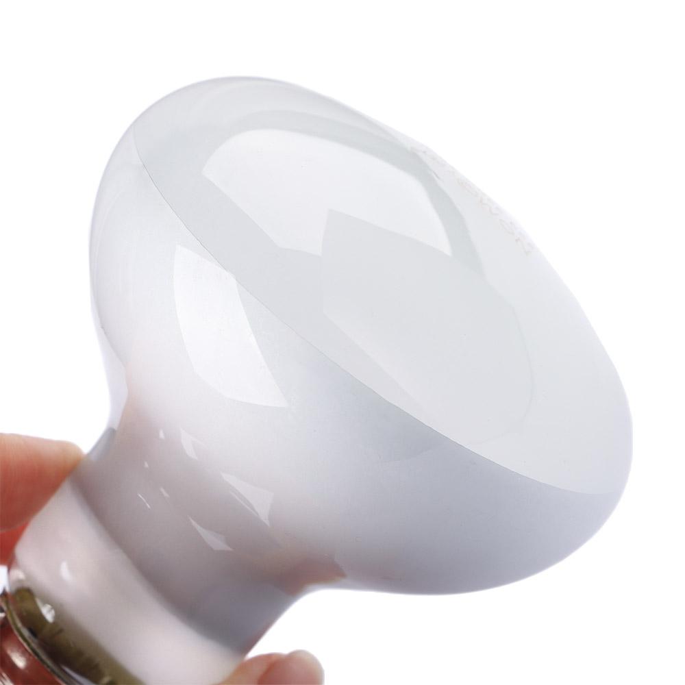 カメ用ヒートランプ 爬虫類用日光浴ライト ハロゲン電球 UV - Basking Bulb Halogen のレビューと価格