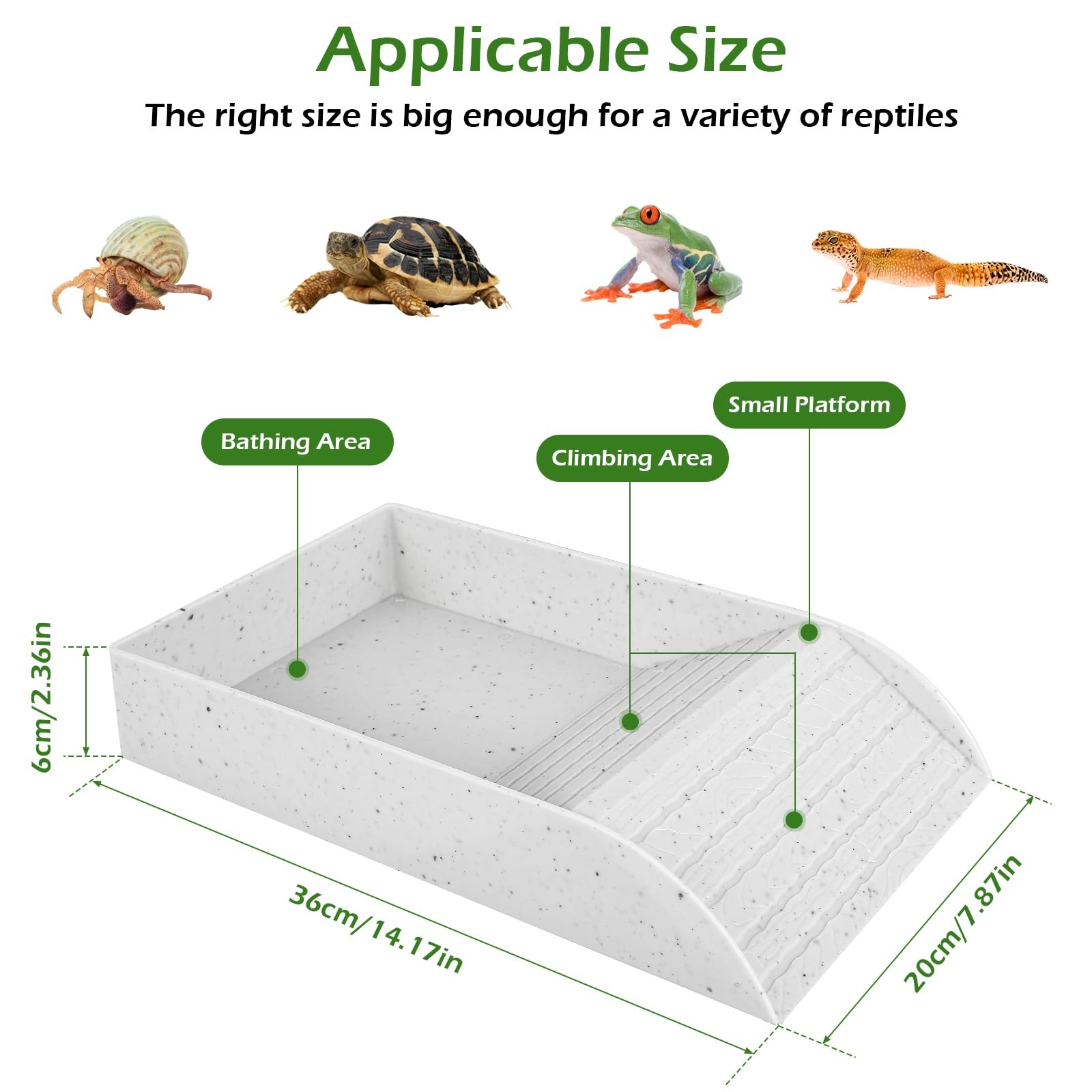 カメの形をした滑り止めバスボウル,ランプ付きウォーターボウル - Water Dish Reptile のレビューと価格