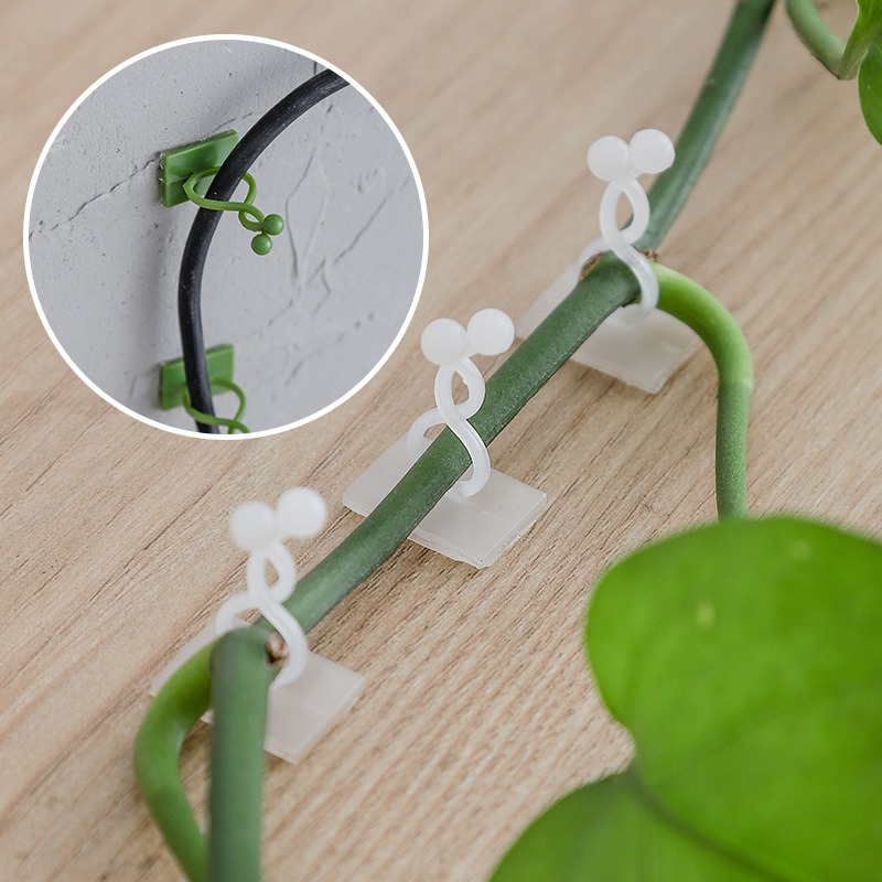 10 個植物壁固定フックユニバーサルつる性植物ホルダー家庭用 - Vine Climbing Plastic のレビューと価格