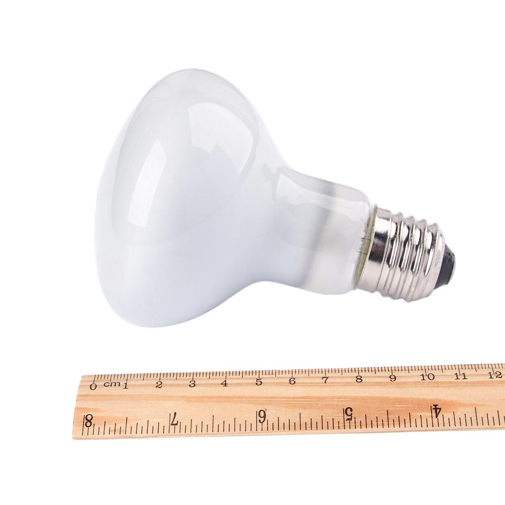 カメ用ヒーター温度調節器 バスキングライト ハロゲン電球 爬 - Basking Bulb Halogen のレビューと価格