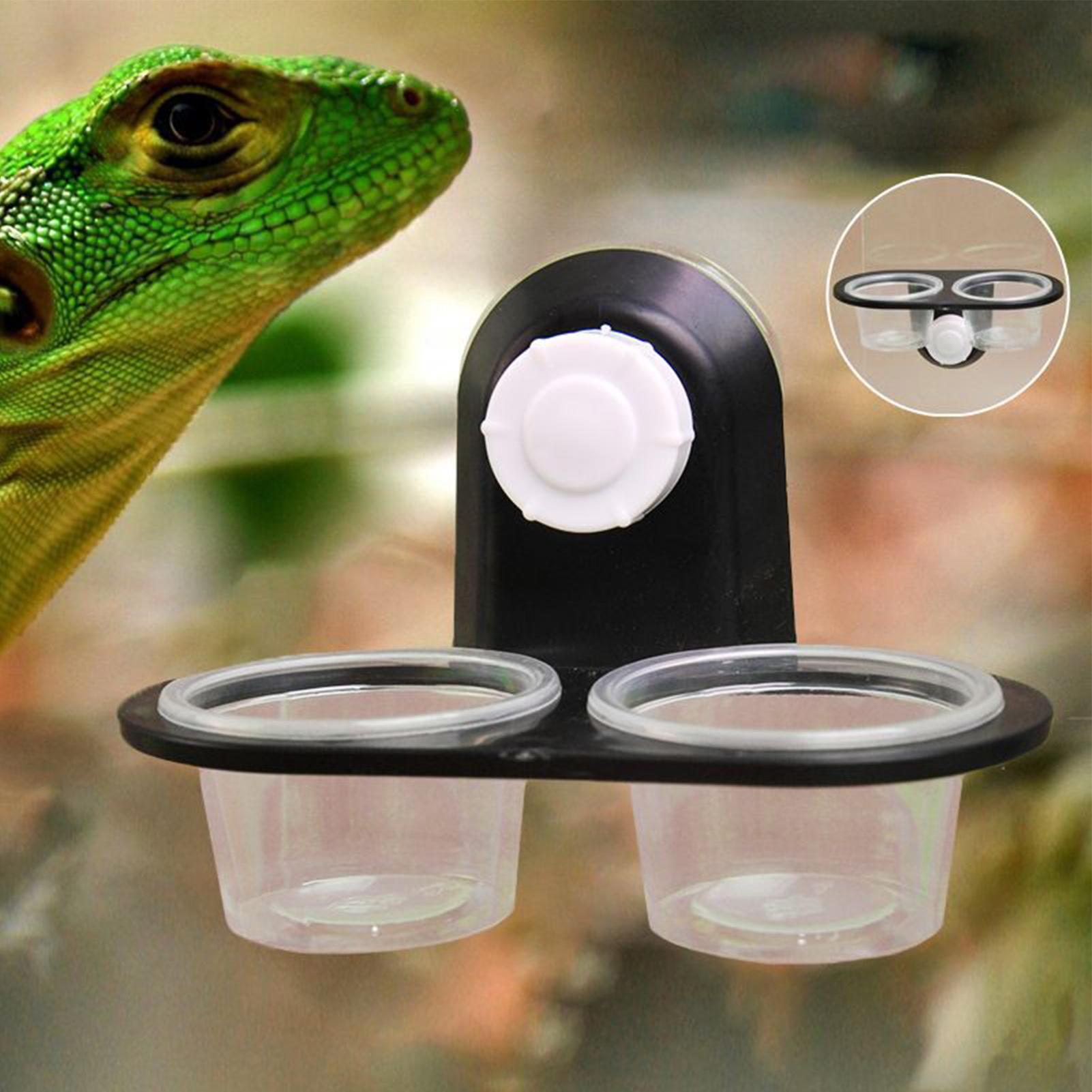 ヤモリ用フードディッシュ ヤモリ用給餌カップ ディスペンサー - Water Dish Reptile のレビューと価格