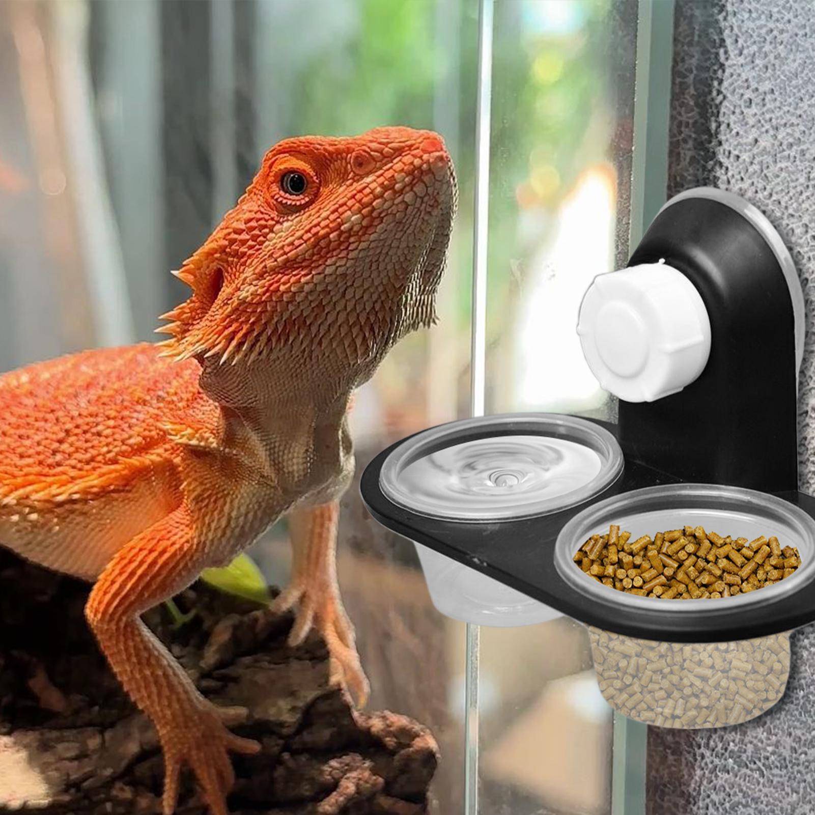 ヤモリ用フードディッシュ ヤモリ用給餌カップ ディスペンサー - Water Dish Reptile のレビューと価格