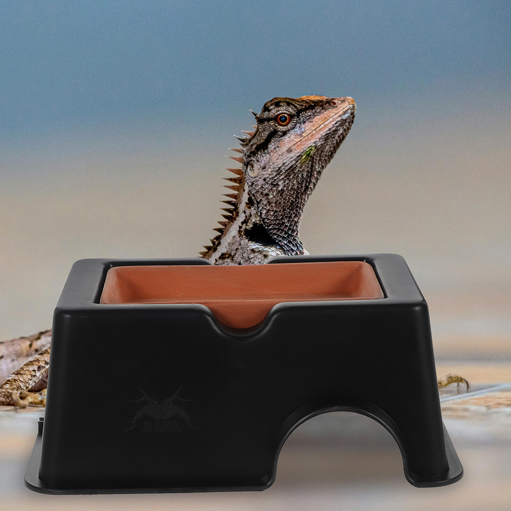 2個入り 湿気のあるヒョウモントカゲロウ用シェルター 小型爬 - Hide Cave Ceramic のレビューと価格