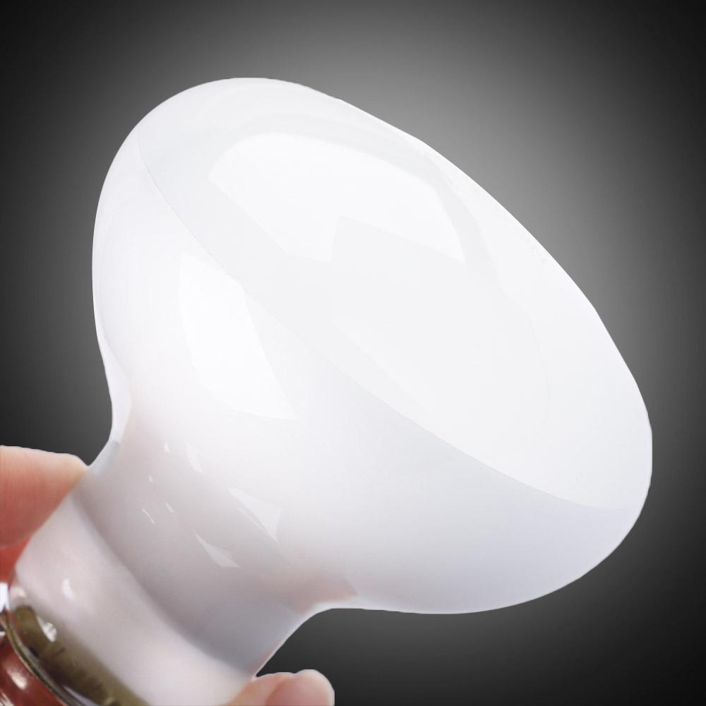 カメ用ヒーター温度調節器 爬虫類用UVAライト ハロゲン電球 - Basking Bulb Halogen のレビューと価格