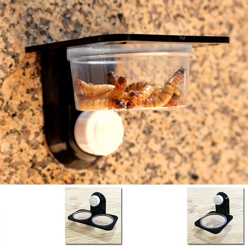 ペット用の爬虫類タンクアクセサリー,餌と給水ボウル,昆虫,ク - Water Dish Reptile のレビューと価格