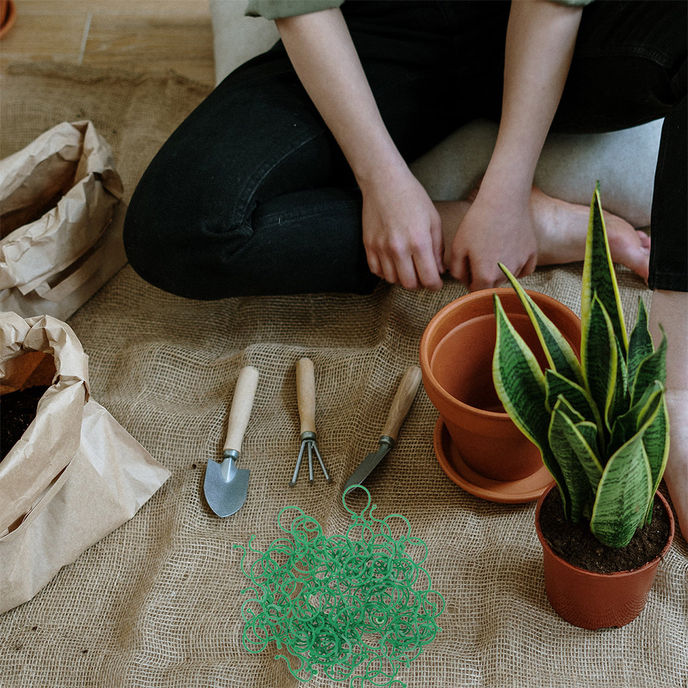 200個入り ガーデン植物クリップ ABS樹脂製 茎支持具  - Vine Climbing Plastic のレビューと価格