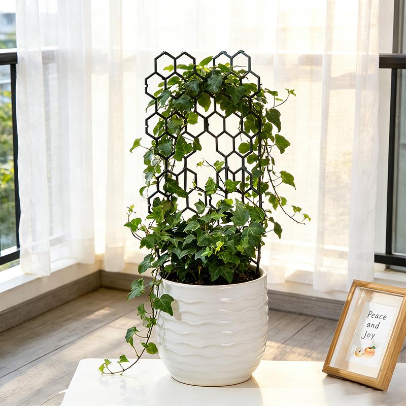 1/5個入り ハニカムデザイン 植物用 新品 室内/屋外 ガ - Vine Climbing Plastic のレビューと価格
