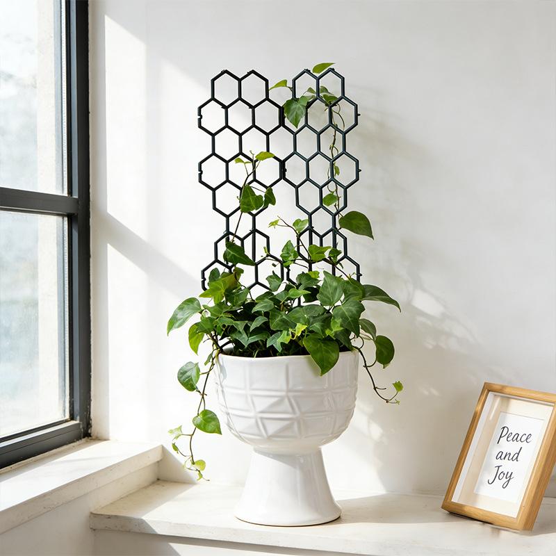 1/5個入り ハニカムデザイン 植物用 新品 室内/屋外 ガ - Vine Climbing Plastic のレビューと価格