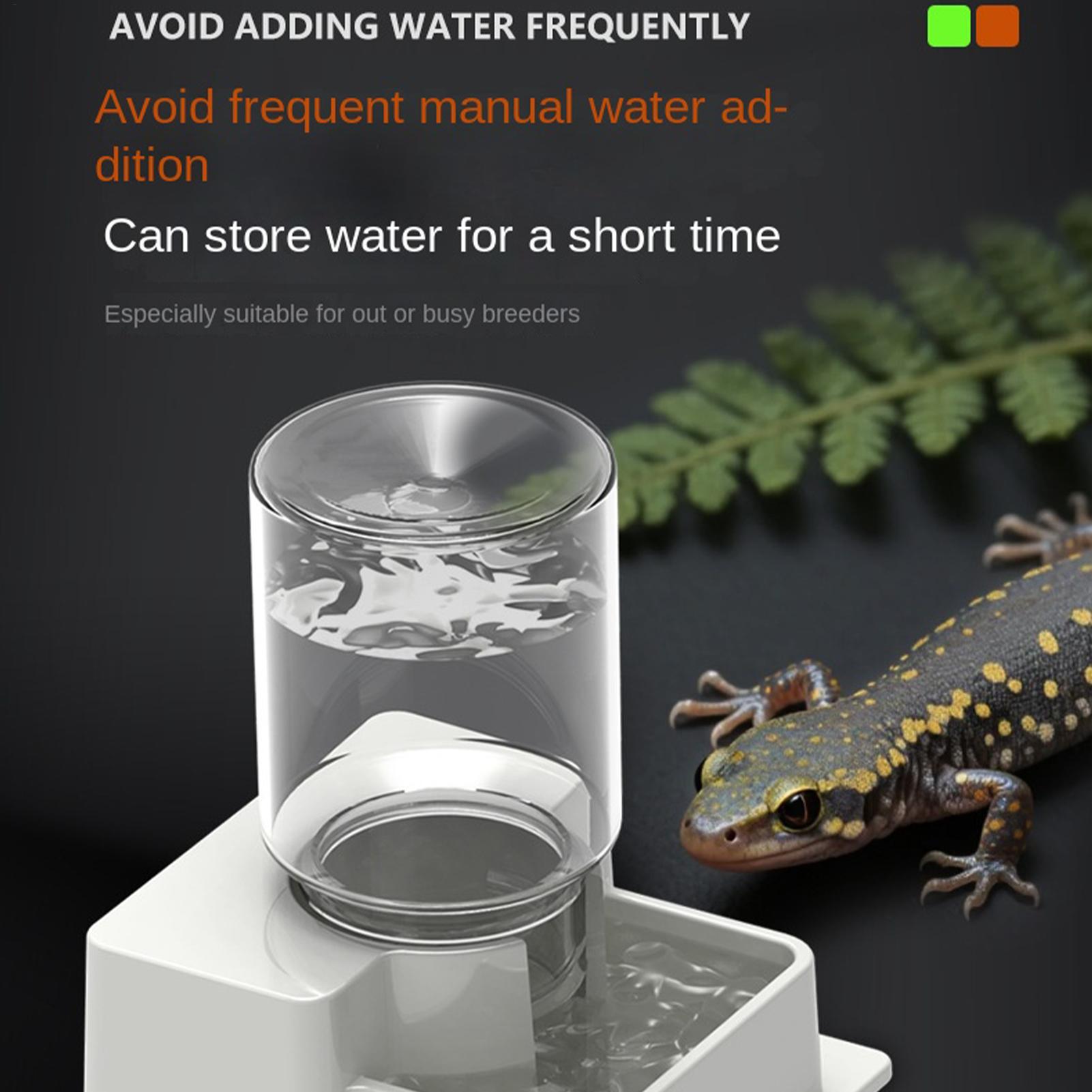 ヒゲトカゲ用自動給水器、テラリウム用ウォーターディッシュ、カ - Water Dish Reptile のレビューと価格