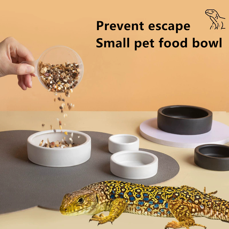 熱い！ 爬虫類用フードボウル、脱走防止セラミック製餌皿、黒白 - Water Dish Reptile のレビューと価格