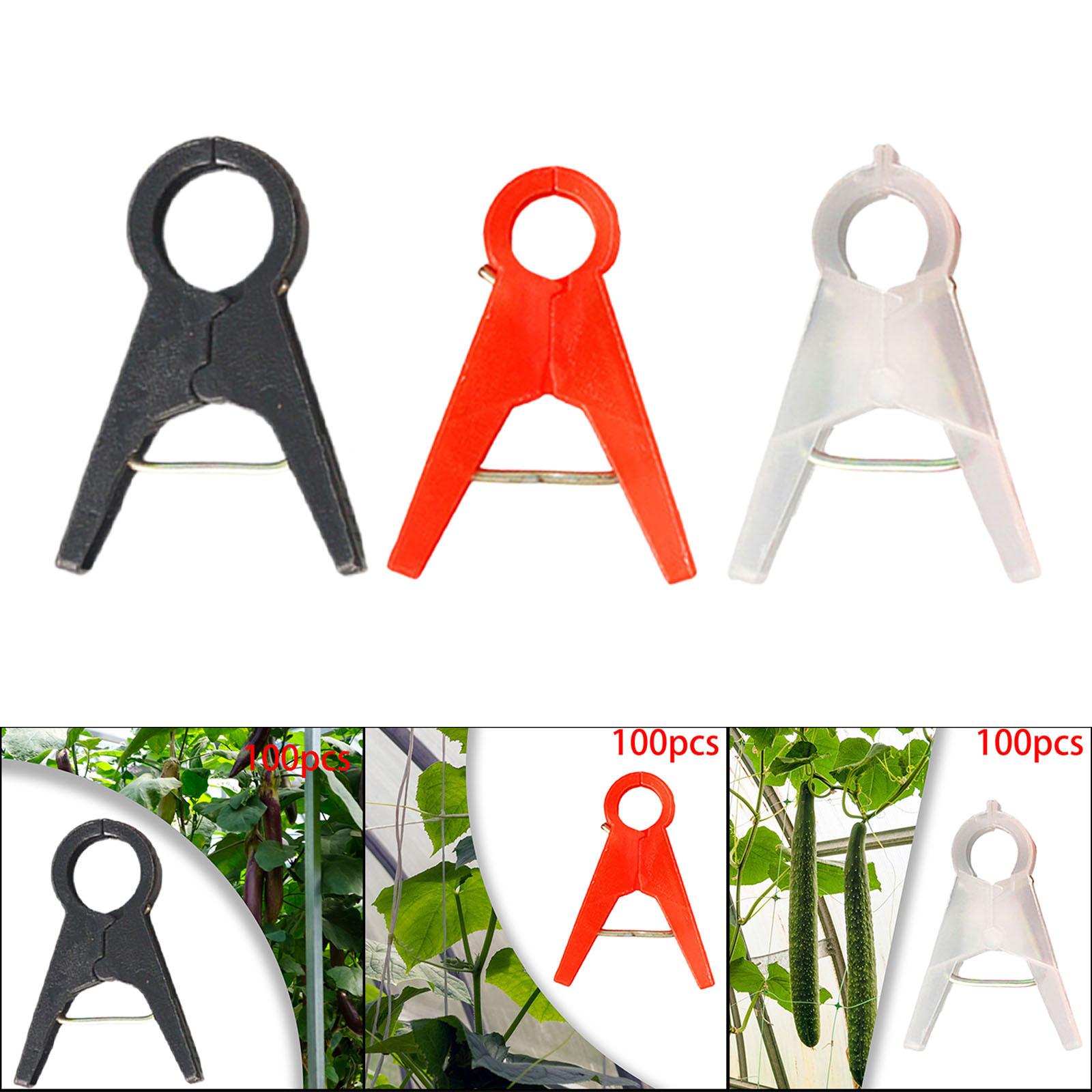 園芸植物サポートクリップ、つる植物、花とつるクランプ、蘭、キ - Vine Climbing Plastic のレビューと価格
