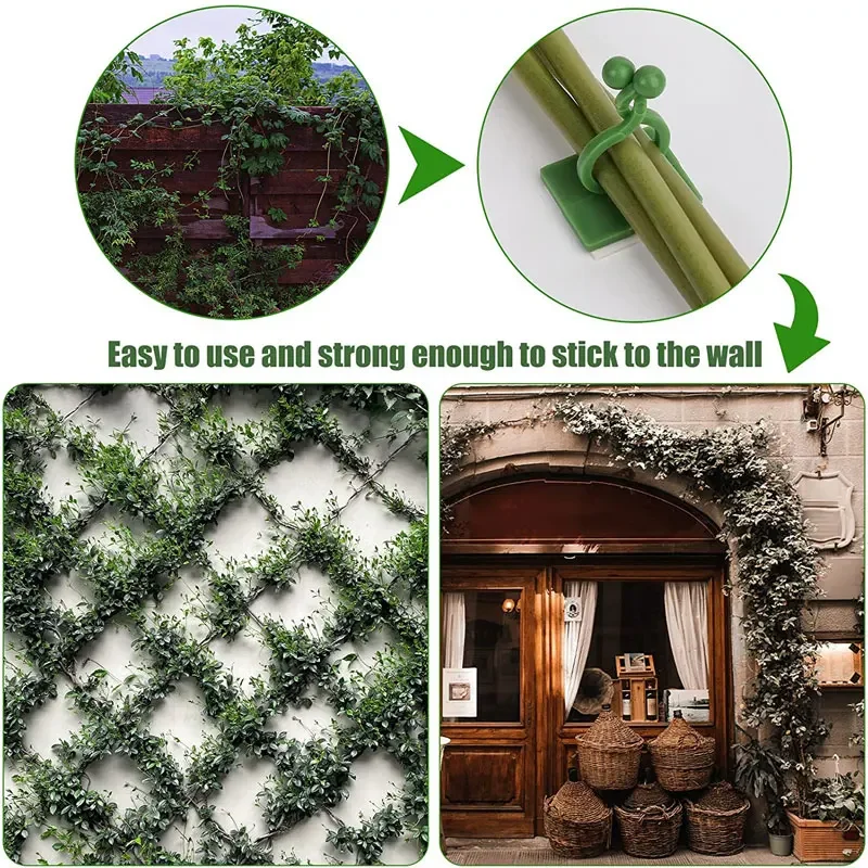 植木鉢とプランター,クライミングウォール,屋外装飾ランプ,植 - Vine Climbing Plastic のレビューと価格