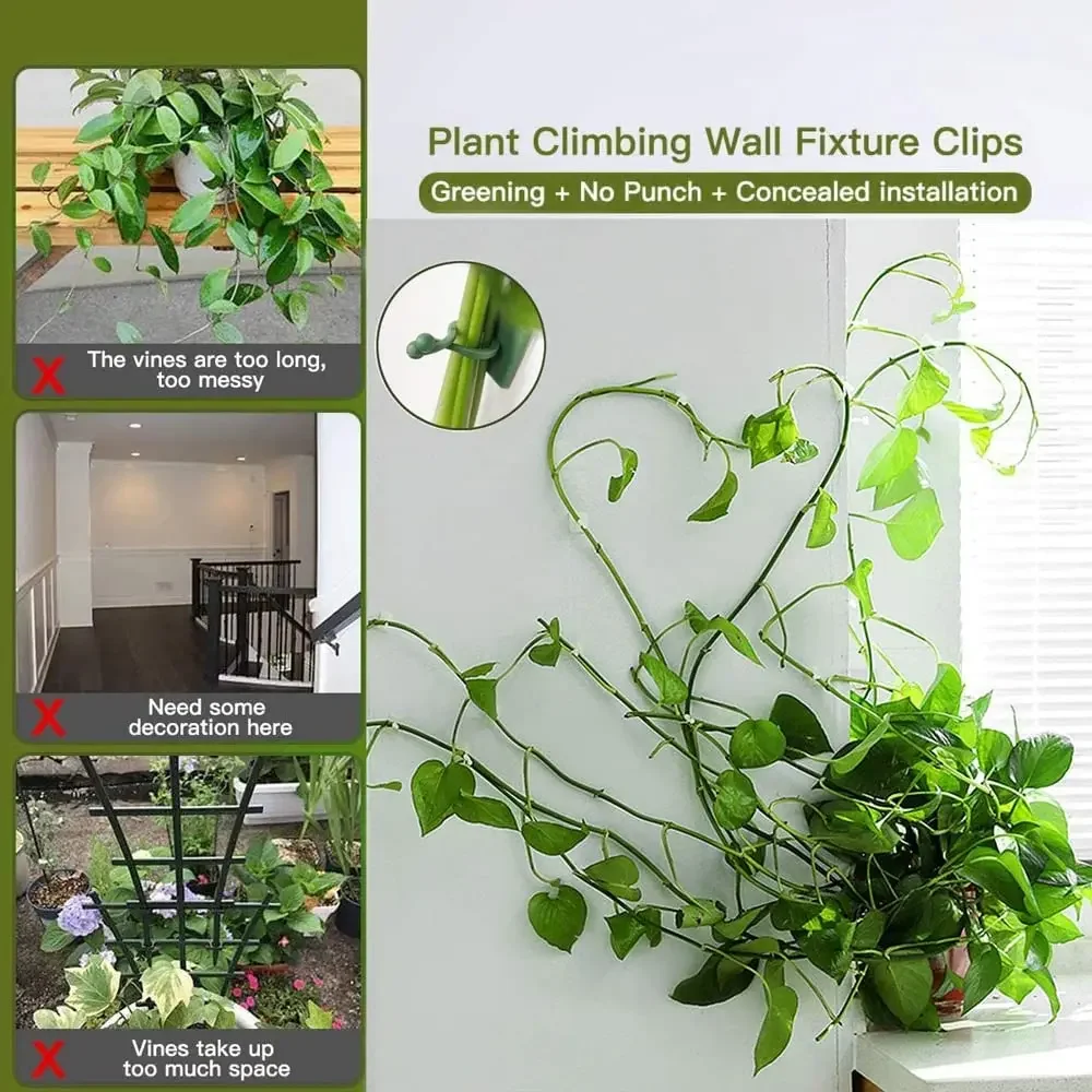 植木鉢とプランター,クライミングウォール,屋外装飾ランプ,植 - Vine Climbing Plastic のレビューと価格