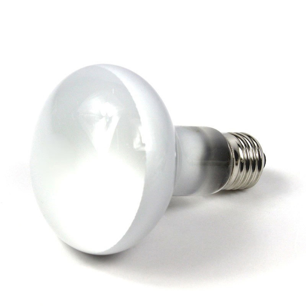 リザードヒーター温度調節器日光浴ライト爬虫類ハロゲン電球UV - Basking Bulb Halogen のレビューと価格