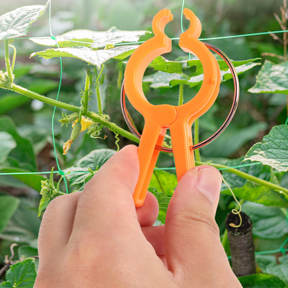 10個入り 植物固定クリップ つる性植物サポートクランプ 再 - Vine Climbing Plastic のレビューと価格