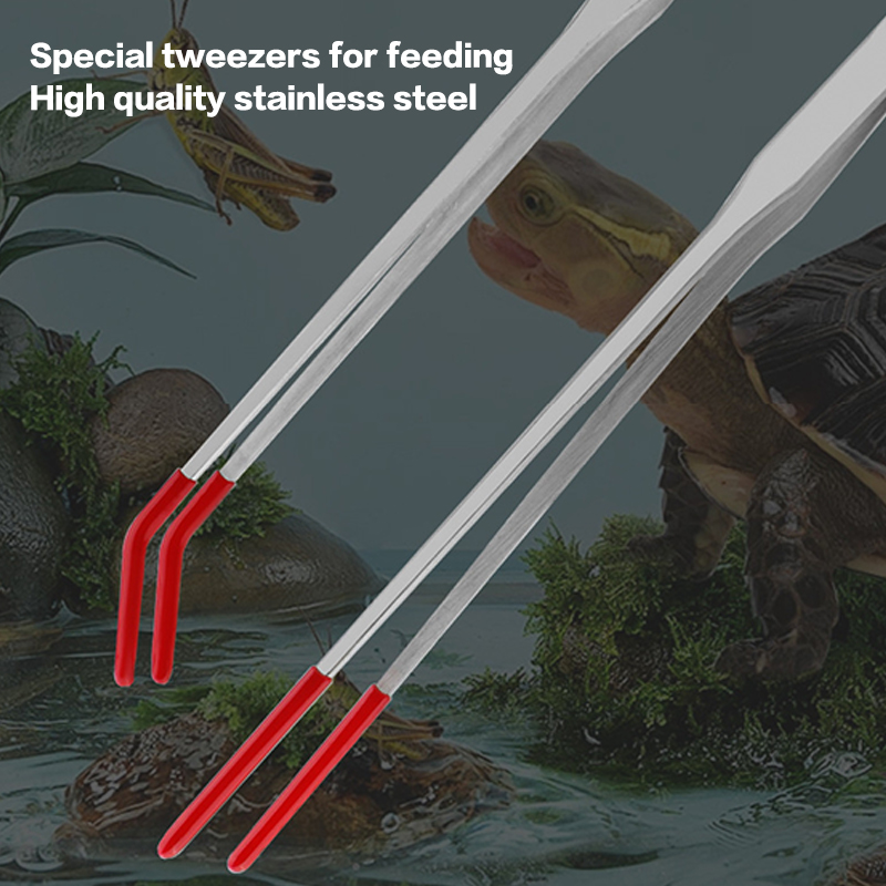 ゴムチップ付き爬虫類給餌用トング、ステンレス製水槽用ピンセッ - Feeding Tong Stainless のレビューと価格