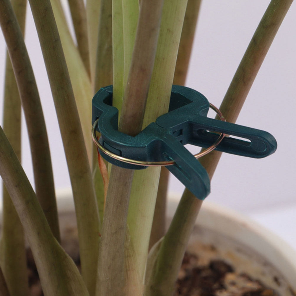 植物用ガーデンクリップ50個、プラスチック製トレリスPEフラ - Vine Climbing Plastic のレビューと価格