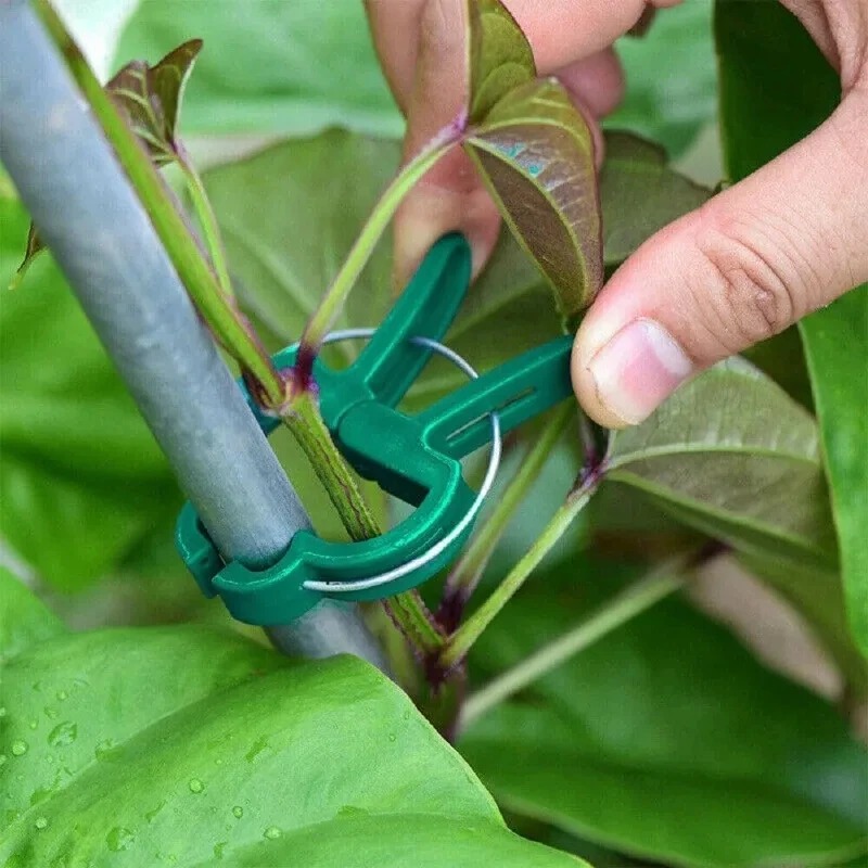 50個の再利用可能な植物固定クリップ、温室用園芸用つる性植物 - Vine Climbing Plastic のレビューと価格