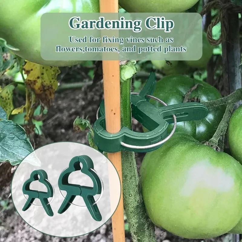 50個の再利用可能な植物固定クリップ、温室用園芸用つる性植物 - Vine Climbing Plastic のレビューと価格