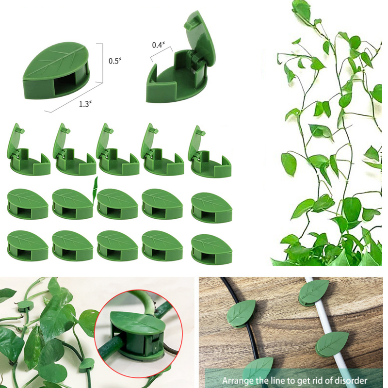 目に見えない植物クライミング壁器具籐つるブラケット固定バック - Vine Climbing Plastic のレビューと価格