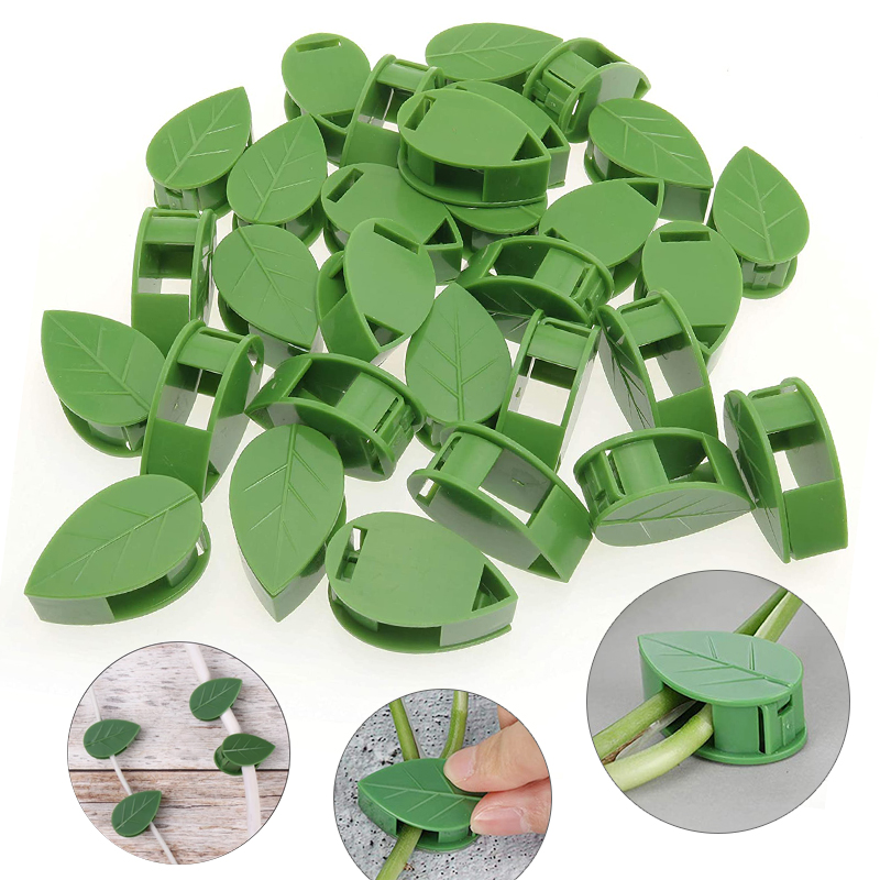 目に見えない植物クライミング壁器具籐つるブラケット固定バック - Vine Climbing Plastic のレビューと価格