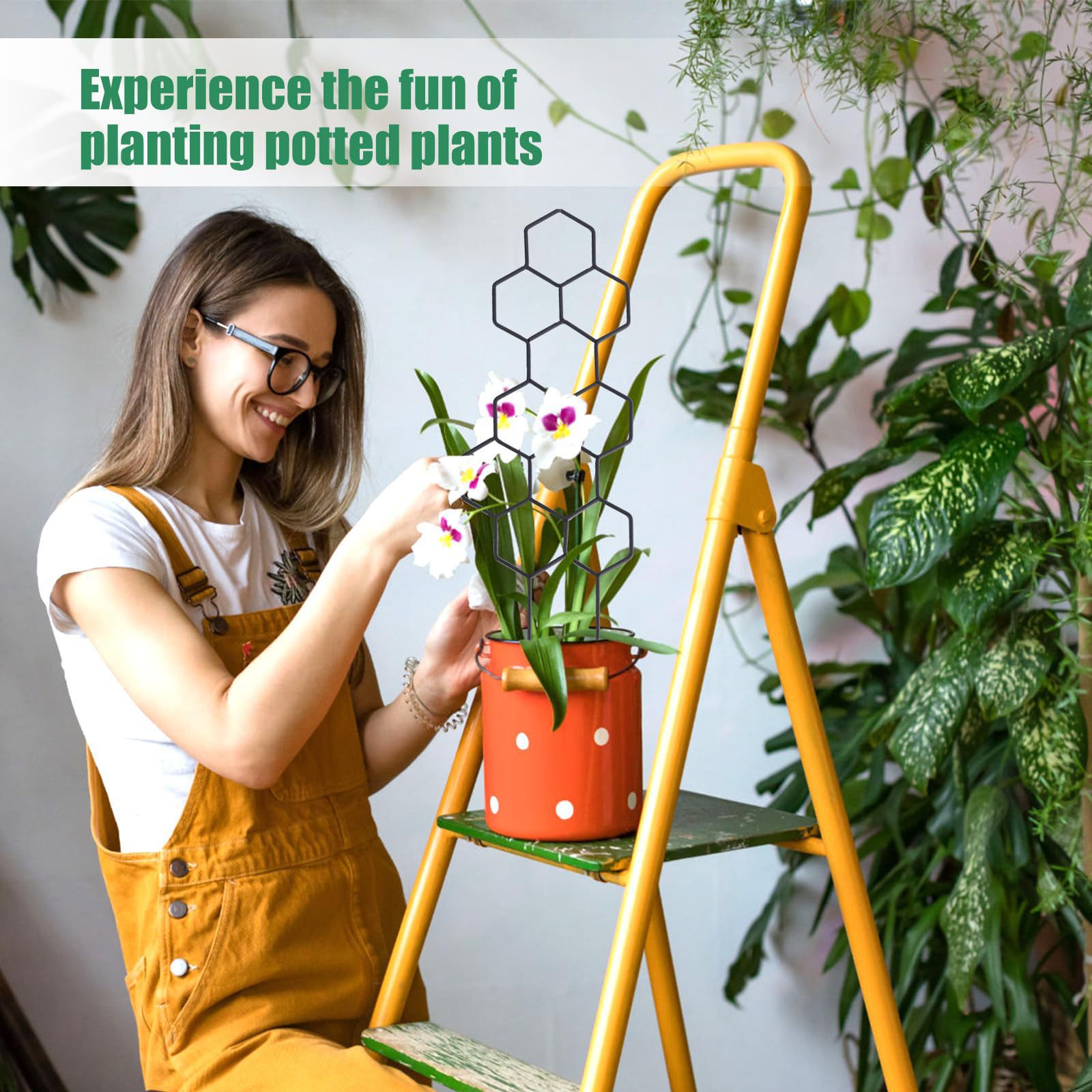 1PC ハニカムデザイン植物トレリス、鉢植えのつるや花用の防 - Vine Climbing Plastic のレビューと価格