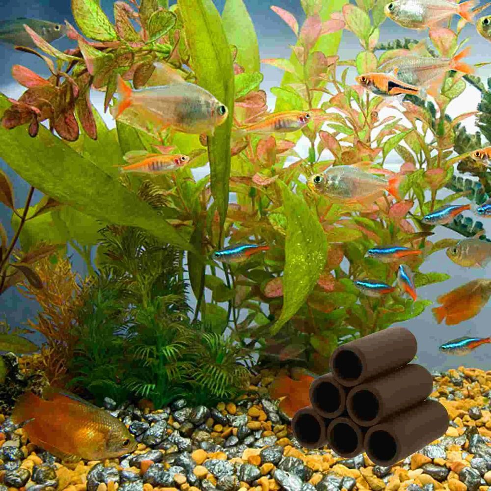繁殖・産卵用の水槽、魚の隠れ家、セラミック製の家、魚やエビの - Hide Cave Ceramic のレビューと価格