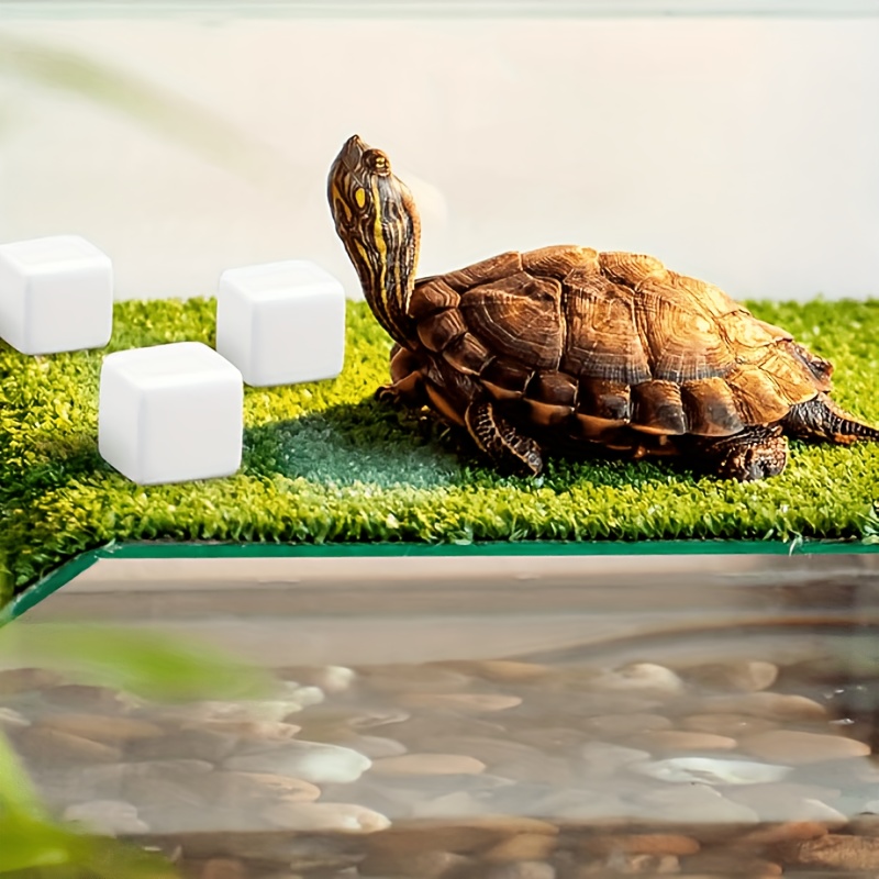 6個入り 魚タンク用カルシウムブロックミネラル 水槽用品 爬 - Calcium Powder Reptile のレビューと価格