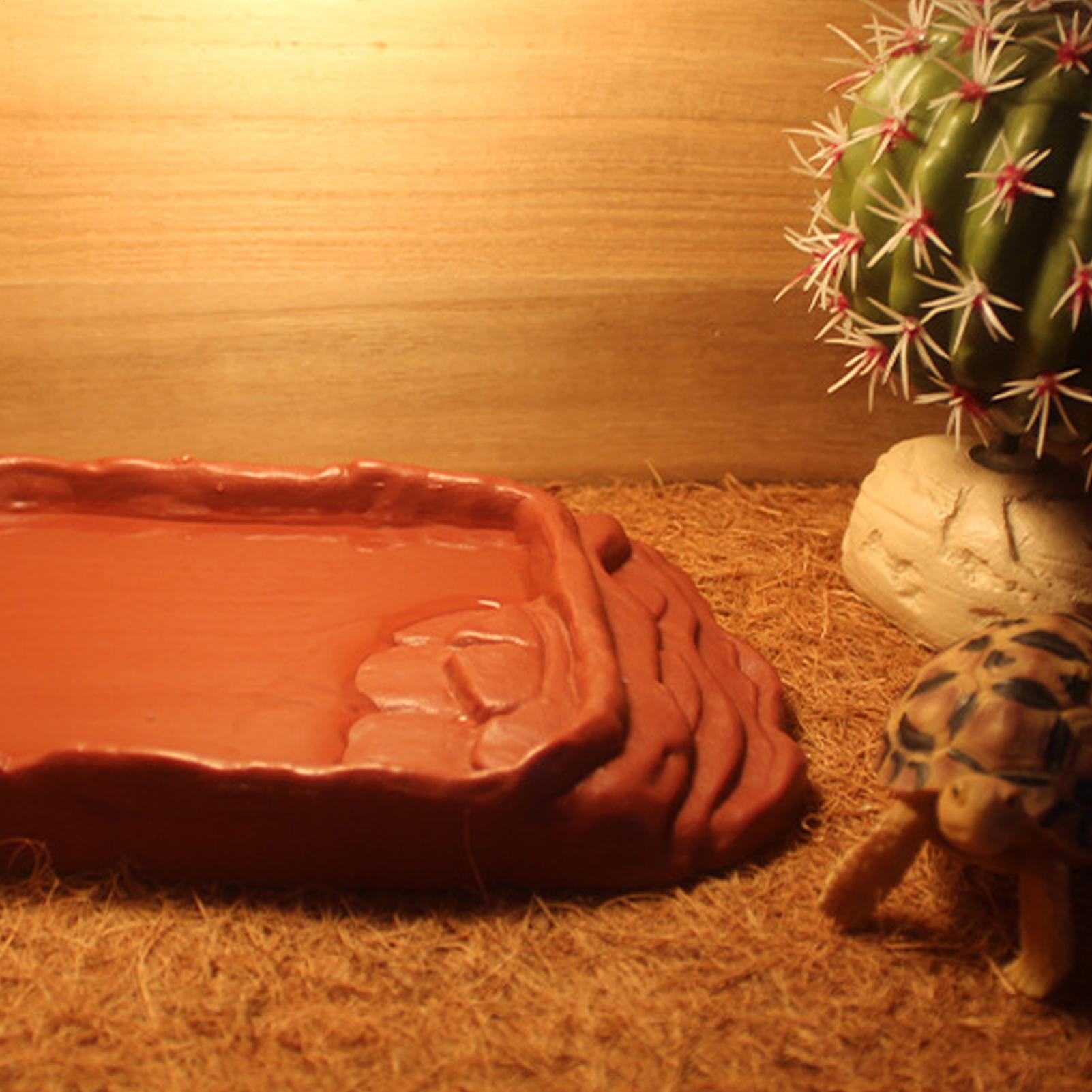 カメ用浴槽 水皿 滑り止め付きはしご 爬虫類用ボウル 爬虫類 - Water Dish Reptile のレビューと価格